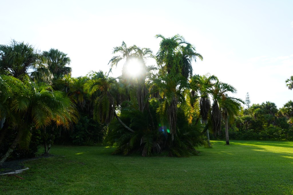 Fort Myers Through My Lens: A Week to&nbsp;Recharge